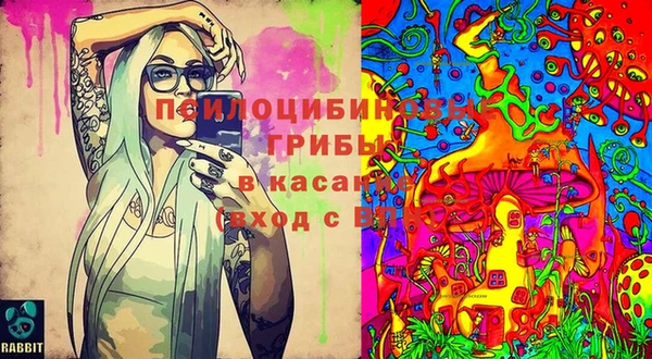 спиды Навашино