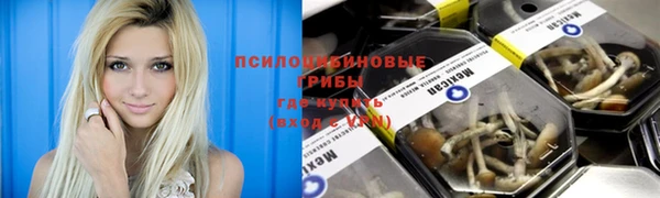 спиды Навашино