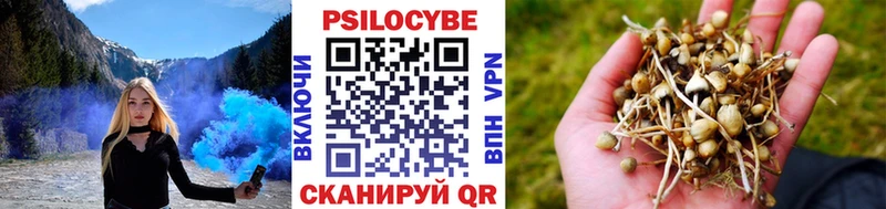 Галлюциногенные грибы GOLDEN TEACHER  Навашино 